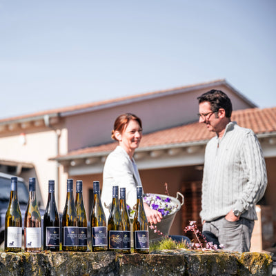 Jahrgangspräsentation im Weingut