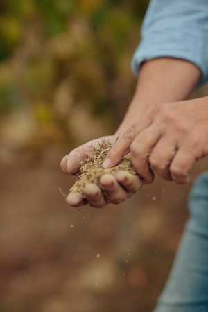 Boden und Sand in der Hand mit Finger draufzeigen