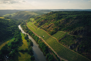 Weinlage Schlossböckelheimer Felsenberg