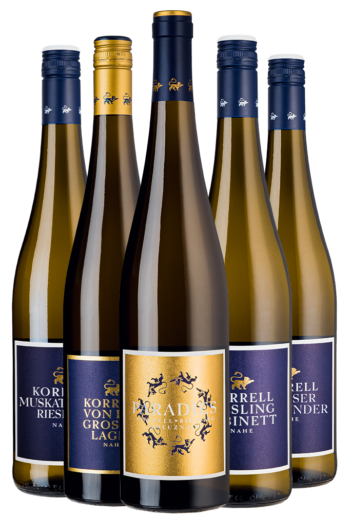 5 Flaschen Wein als Weihnachtspaket