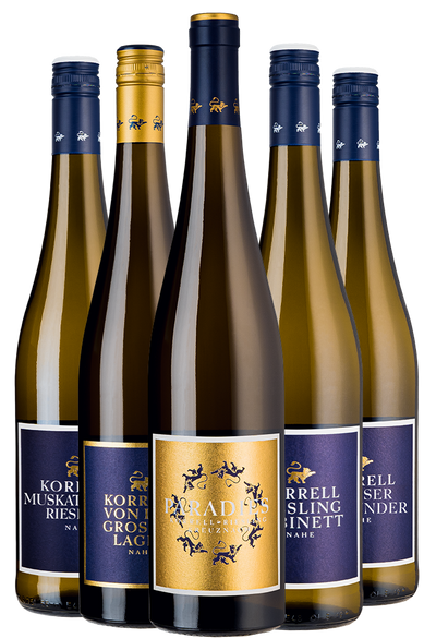 5 Flaschen Wein als Weihnachtspaket